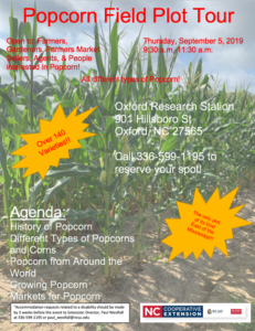 Popcorn Field Plot Flyer