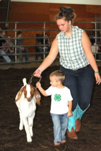 Pee Wee Goat Showman