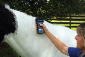 Cover photo for Microchipping Your Horse