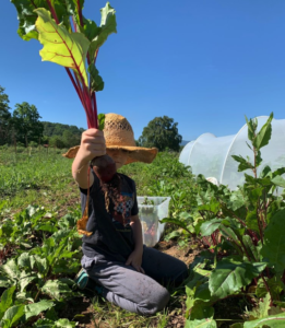 Cover photo for Dharma Creek Farm, near Asheville, Keeps It Real.