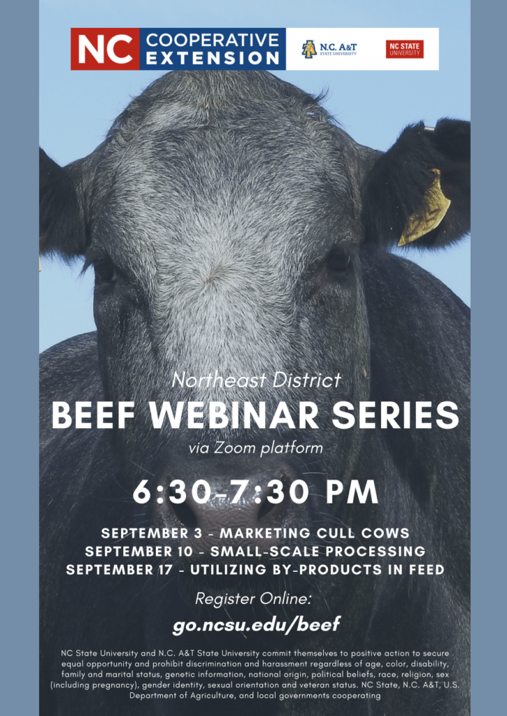 Beef Webinar Series Promotional Flyer