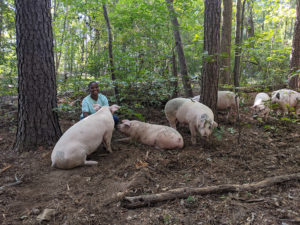 Cover photo for Farm Visit Snapshots: Off Grid in Color