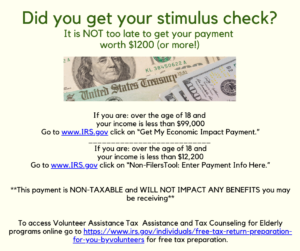 Cover photo for Did You Get Your Stimulus Check?