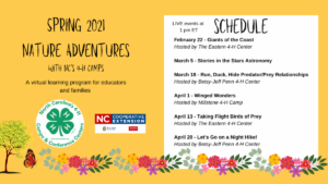 Cover photo for 4-H Virtual Spring Nature Adventures