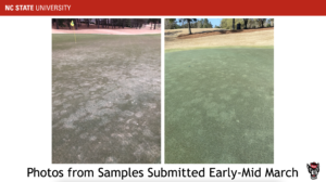 Cover photo for Yuck! TARR on Your Heels?