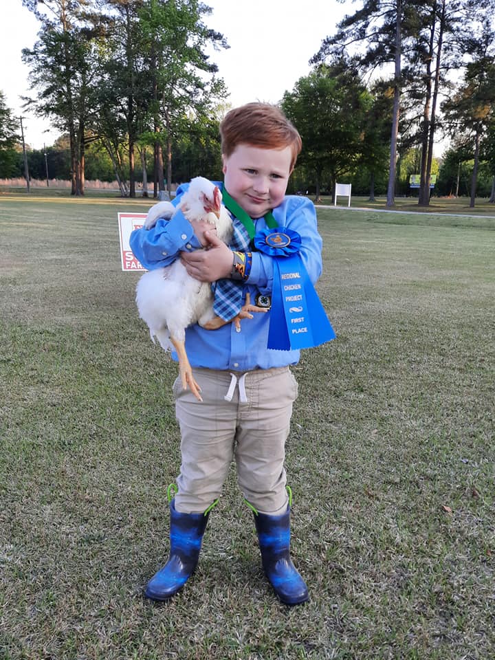 Boy holding a chicken