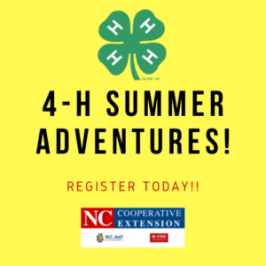 Cover photo for 2022 4-H Summer Adventures Registration