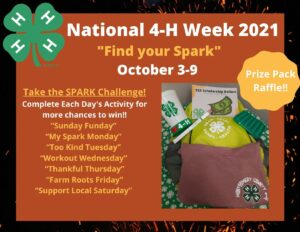 Cover photo for National 4-H Week, SPARK Challenge!