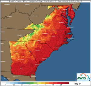 Cover photo for AWIS Weather Advisory (4/7): Watch Out for More Frost This Weekend