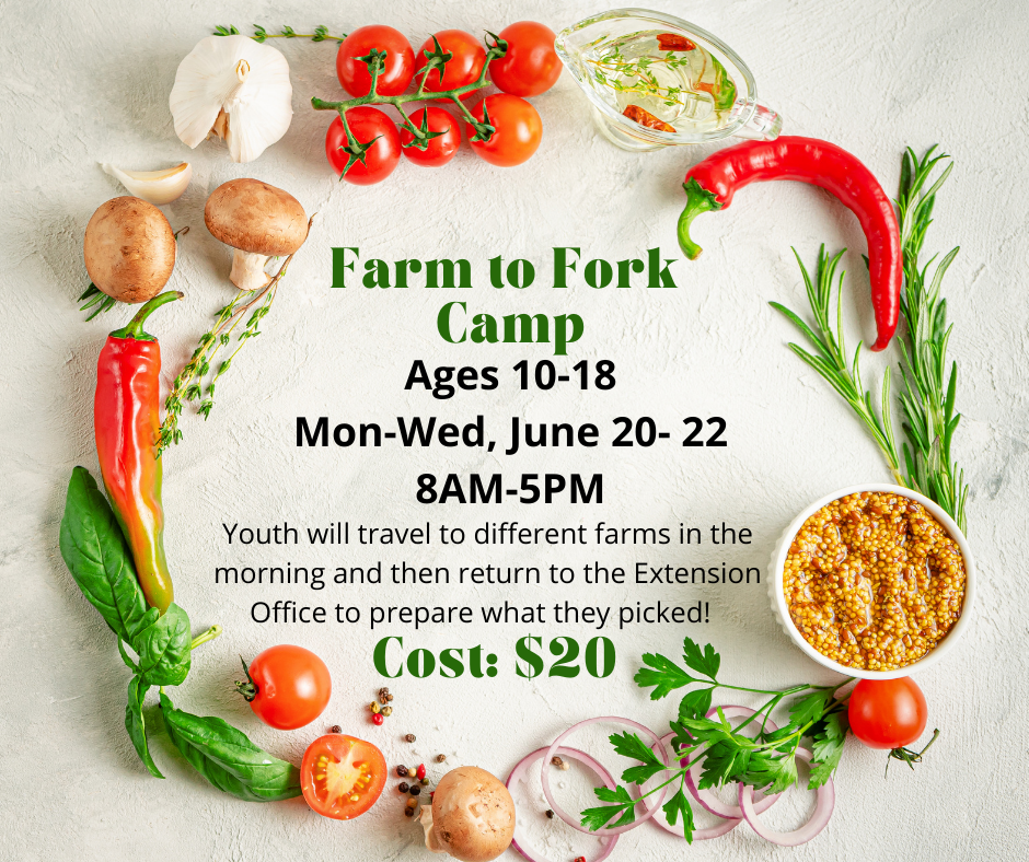 A flyer for the Farm to Fork Camp. 