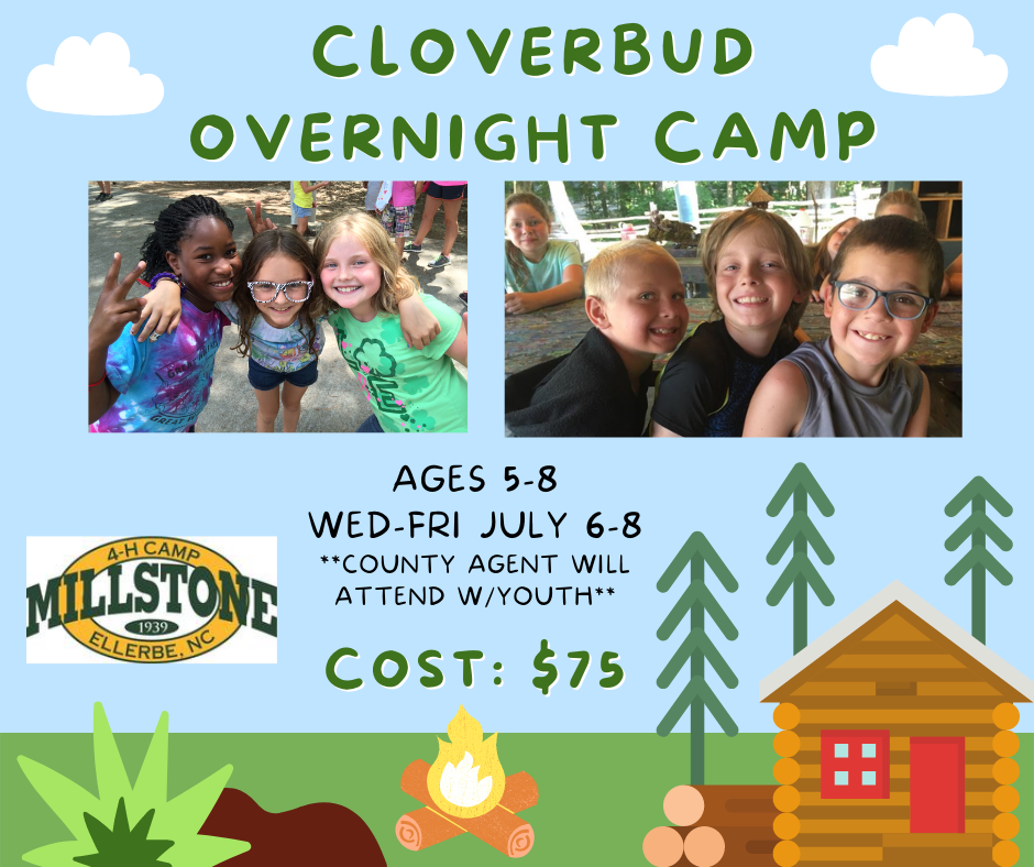 A flyer for the Cloverbud Overnight Camp. 