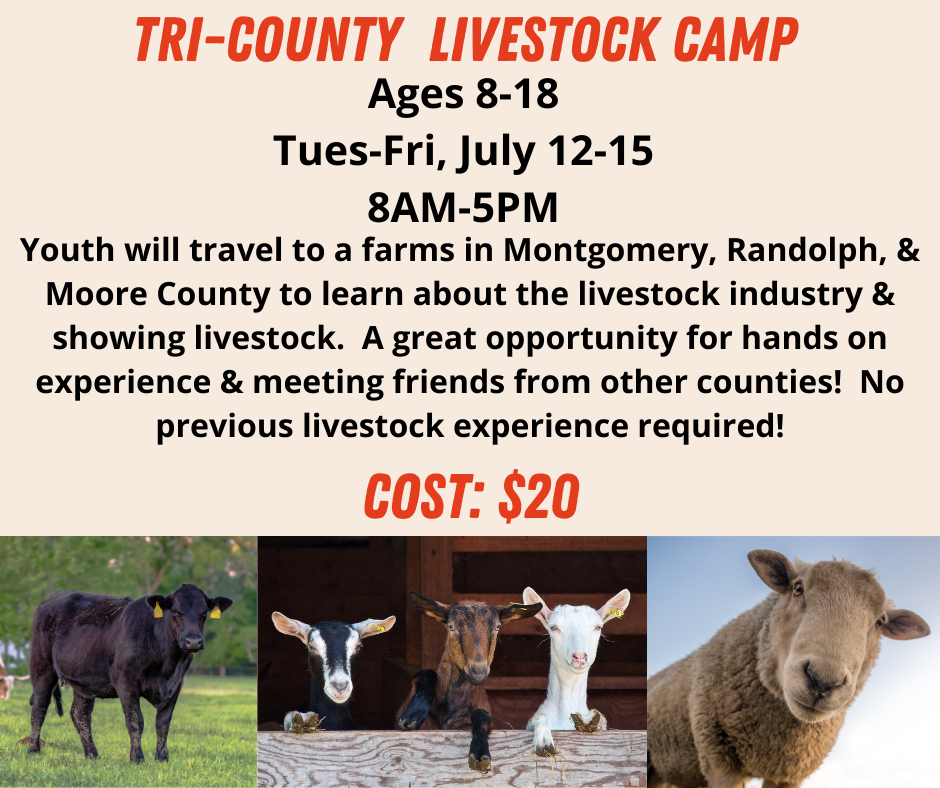 A flyer for the tri-county livestock camp. 