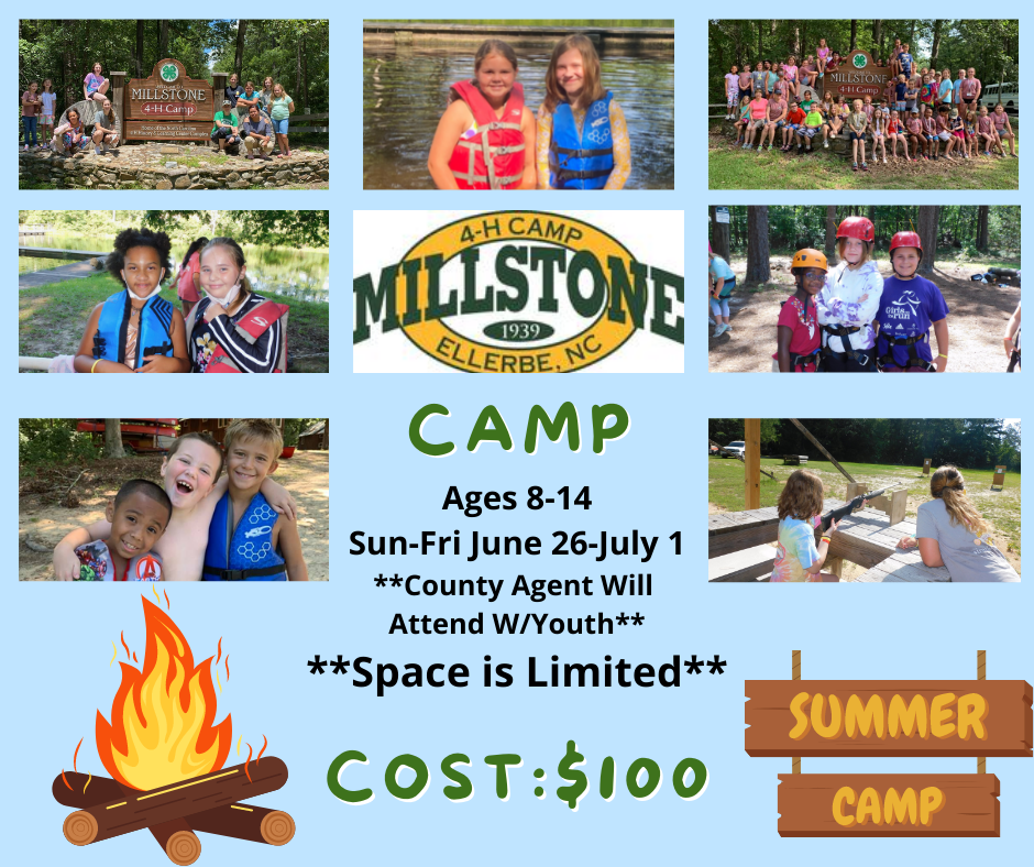 A flyer for the 4-H Millstone Camp. 