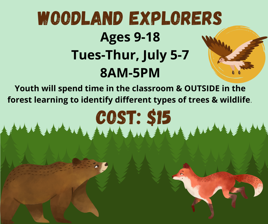 A flyer for Woodland Explorers