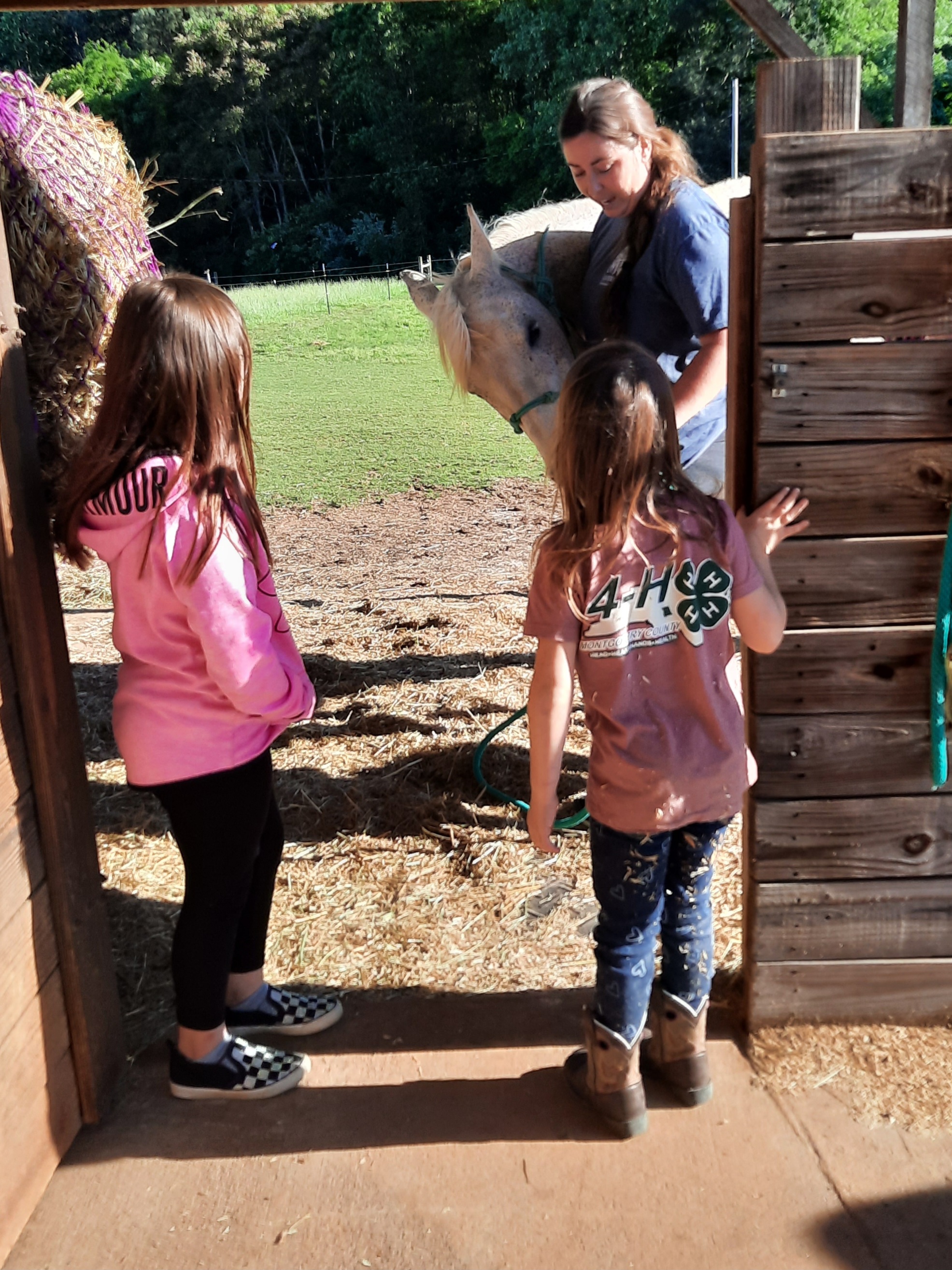 A woman introduces a horse to two young girls.