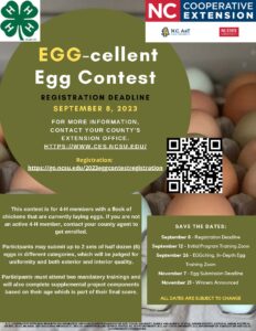 Cover photo for Egg-Cellent Egg Contest 2023