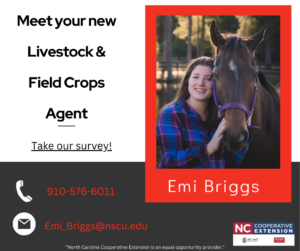 Cover photo for Meet Your New Livestock and Field Crops Agent for Montgomery County, NC.