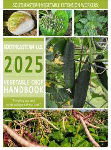 Cover photo for 2025 Southeastern U.S. Vegetable Crop Handbook Is Now Online