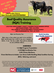 Cover photo for Beef Quality Assurance (BQA) Training
